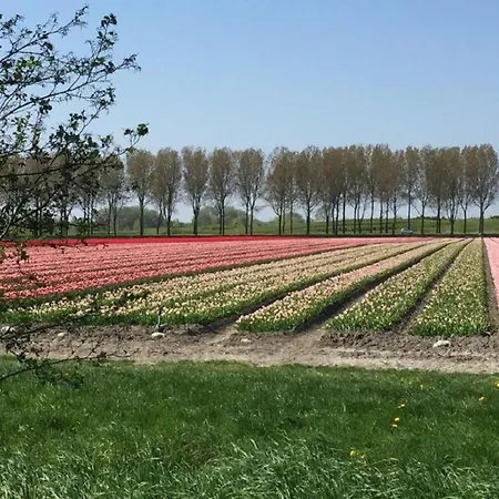Rekerlanden 275 * Schoorldam