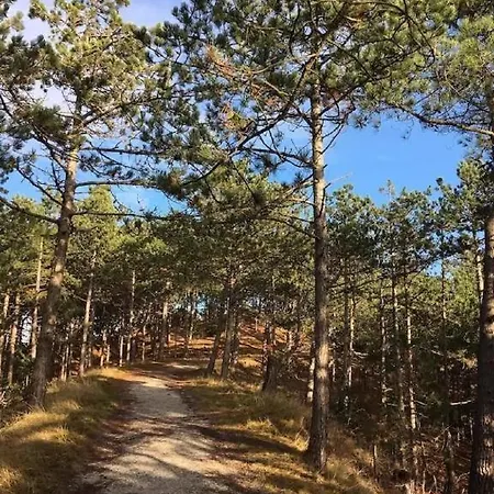 Feriepark Rekerlanden 275